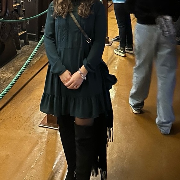 Sunday Best Dress Aritzia in a beautiful Emerald Green - Picture 4 of 5